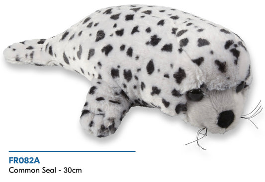 Common Seal Cuddly